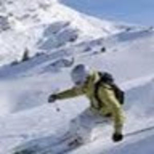 Meet your Posher, Finn